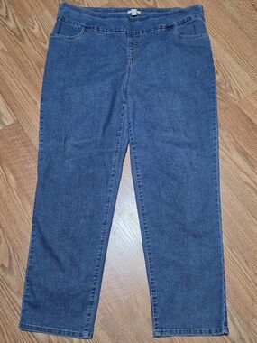 Woman Within Straight Leg Pull-On Jeans in Blue